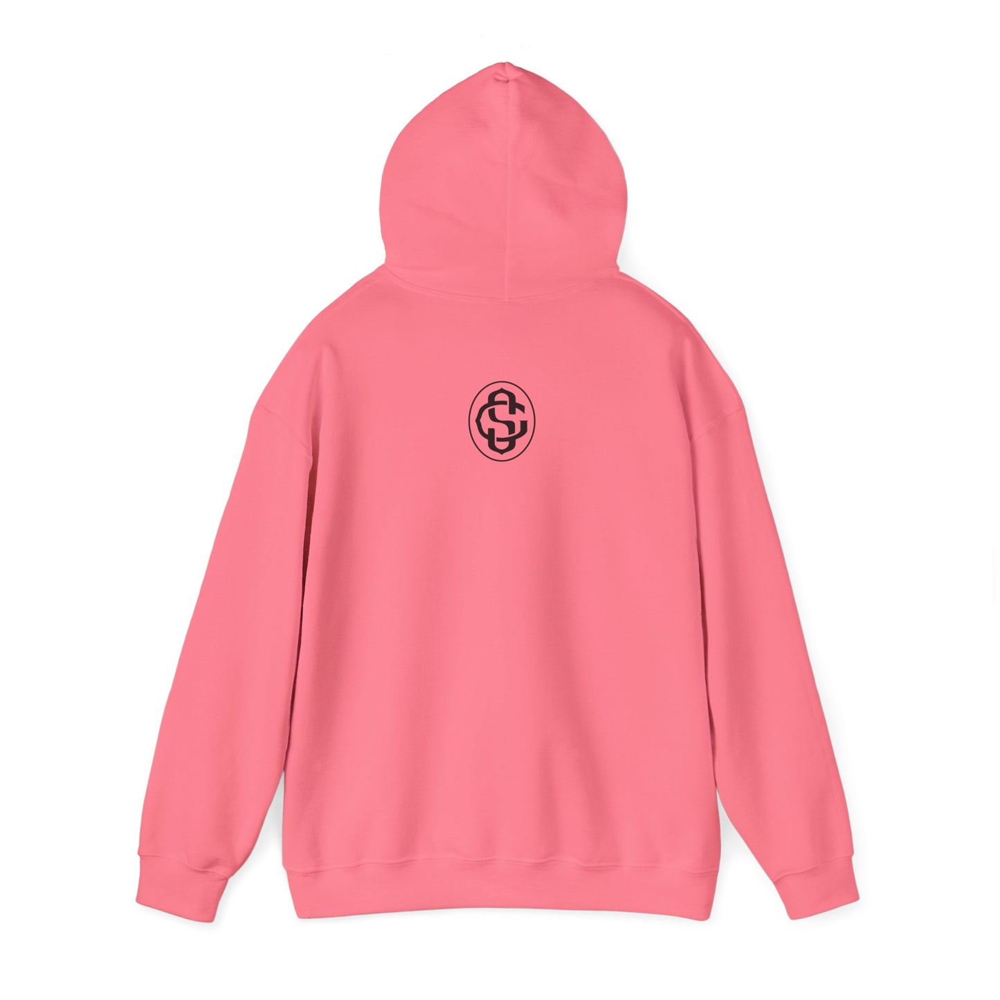 Bolty on Hoodie (Black)